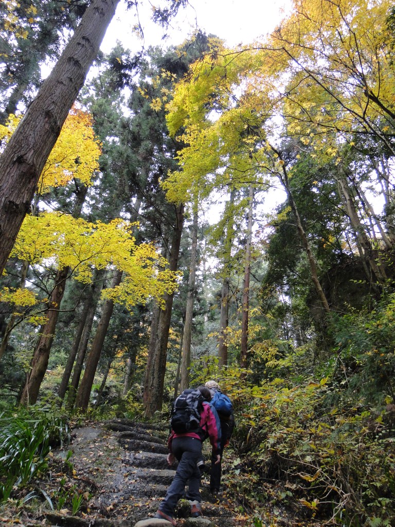The road to the temple