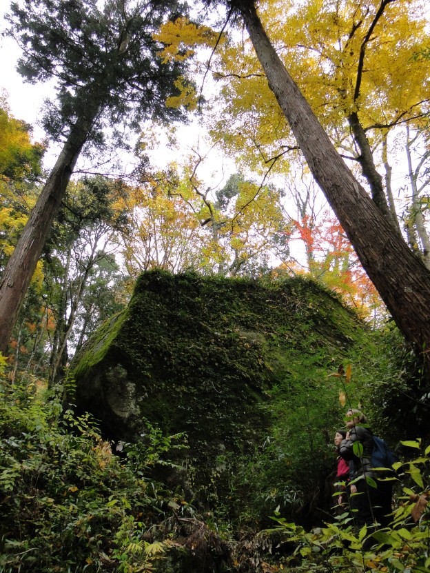 Huge moss covered boulders