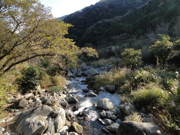 Short but nice river walk