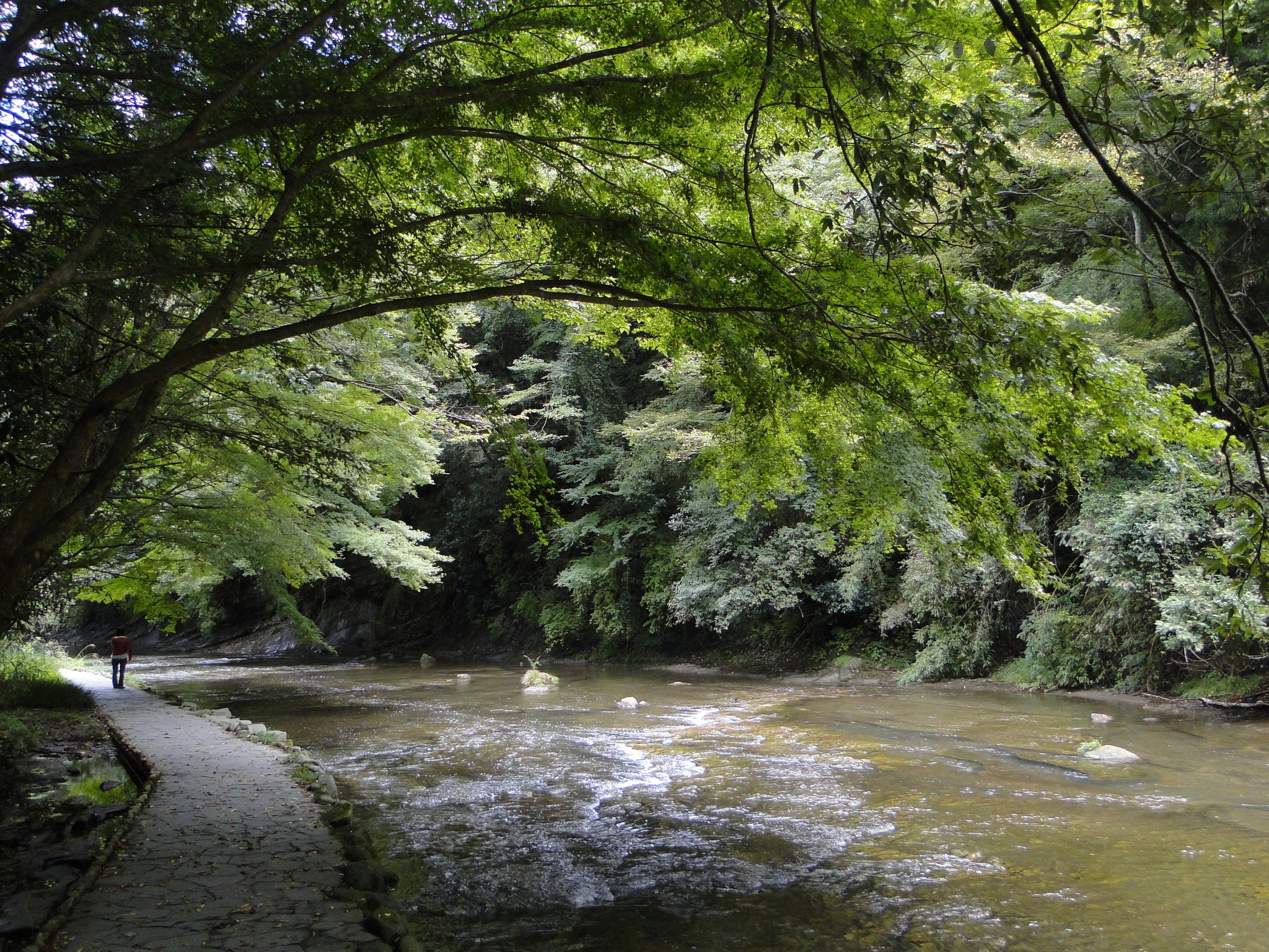 55110_449637782590_226892_o