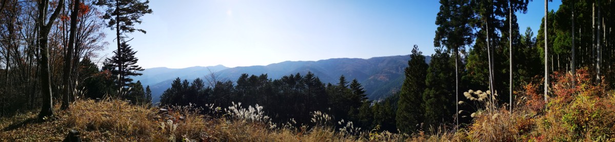 Sengenrei (903m), Hinohara Town, Tokyo Prefecture, November&nbsp;2020