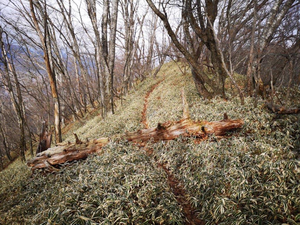 Mt Jizo (1483m) & Mt Yuhi (1526m), Kanuma City, Tochigi Prefecture, December&nbsp;2020