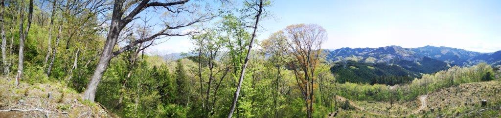 Mt Yokogai (593m), Honjo City, Saitama Prefecture, April&nbsp;2021