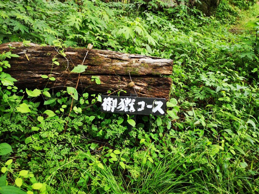 Mt Koo (550m), Mt Hinata (482m) & Mt Taka (420m), Fujioka City, Gunma Prefecture [Ontake&nbsp;Trail]