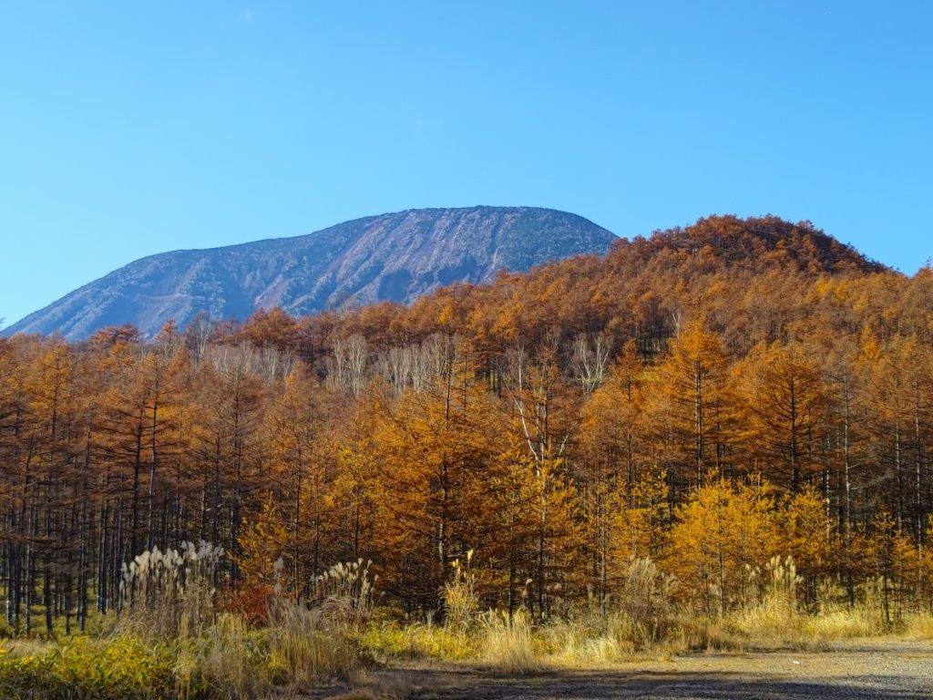 Mt Tanze (1398m), Nikko City, Tochigi Prefecture, Saturday, November 12, 2022 [Map&nbsp;Available]