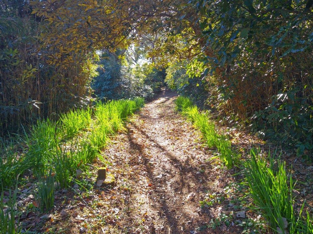 Hitorizawa & Segami Community Woods Hiking (highest point 130m), Yokohama City, Kanagawa Prefecture, Tuesday, December 27,&nbsp;2022