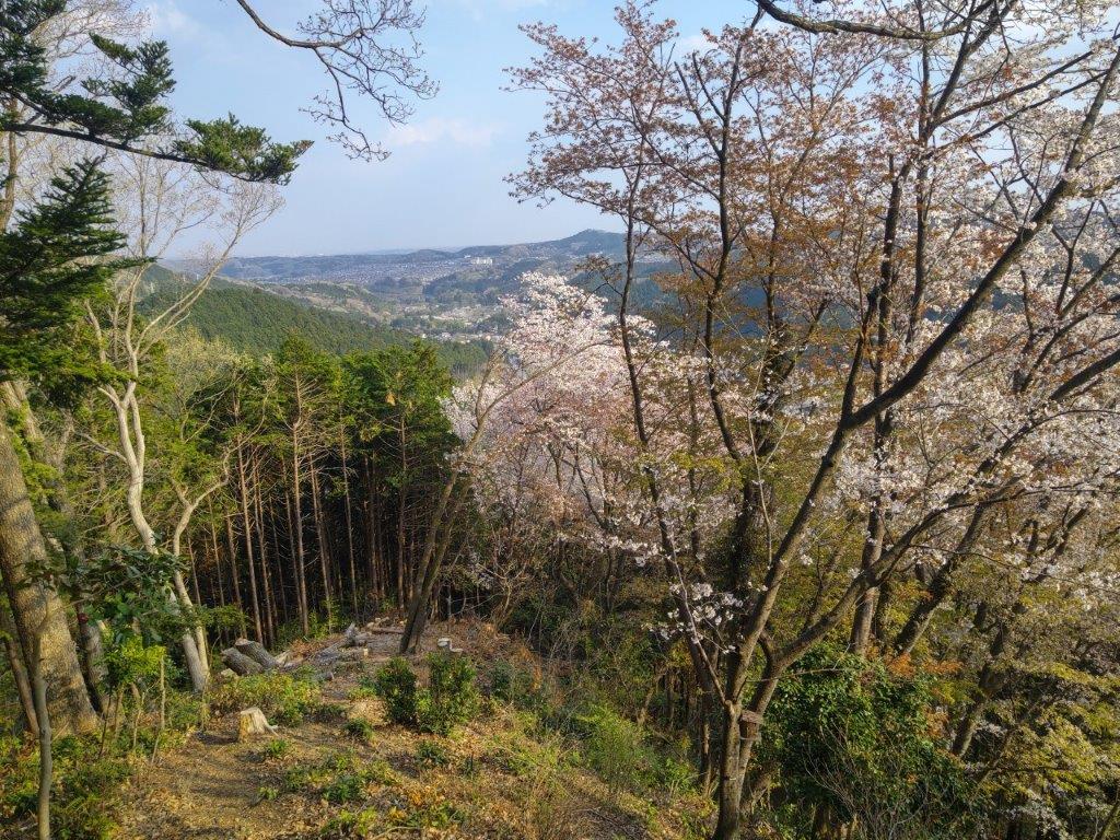 Mt Monomi (375m), Mt Sukari (435m), Mt Fukazawa (350m) & Mt Atago (250m), Moroyama Town and Hanno City, Saitama Prefecture, Saturday, April 1st,&nbsp;2023