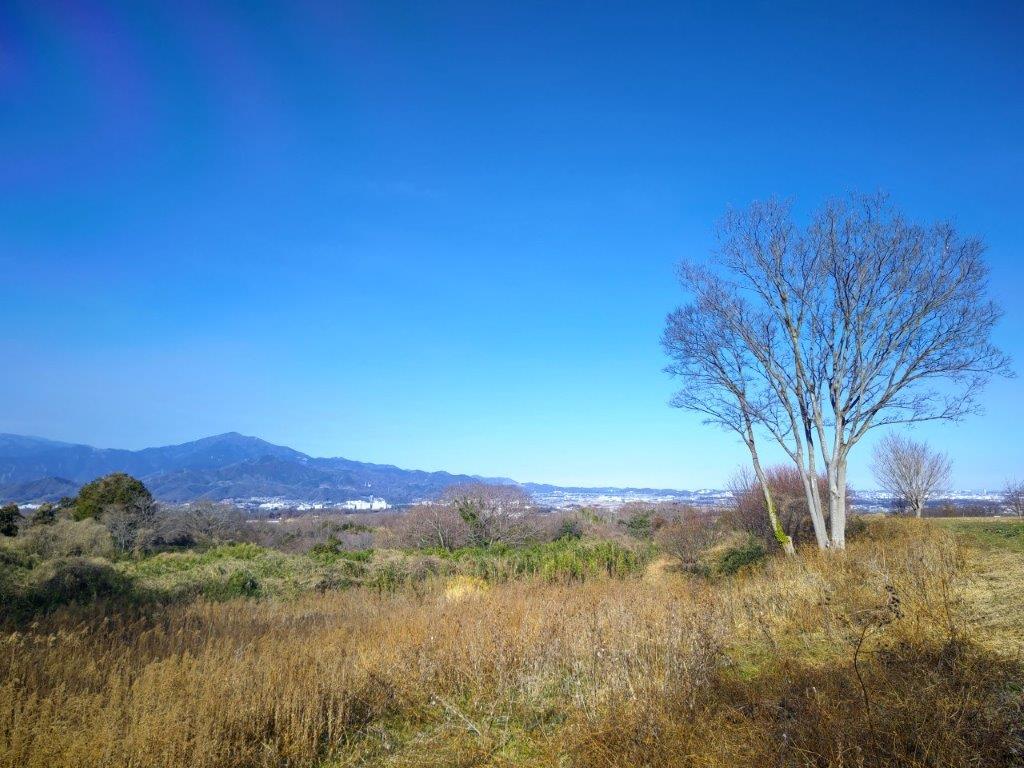 Mt Takatori (219m), Oiso Town, Kanagawa Prefecture, Saturday, February 3,&nbsp;2024
