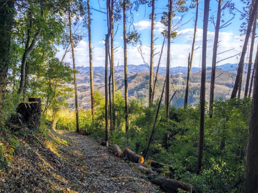 Haga-Fuji (271m), Motegi Town, Tochigi Prefecture, Saturday, February 10,&nbsp;2024