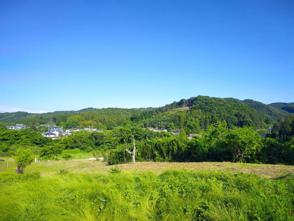 Mt Toki (463m), Mt Yasuyo (462m), Mt Kana (539m) & Mt Shiho (290m), Tokigawa and Ogawa Towns, Saitama Prefecture, Saturday, May 25,&nbsp;2024
