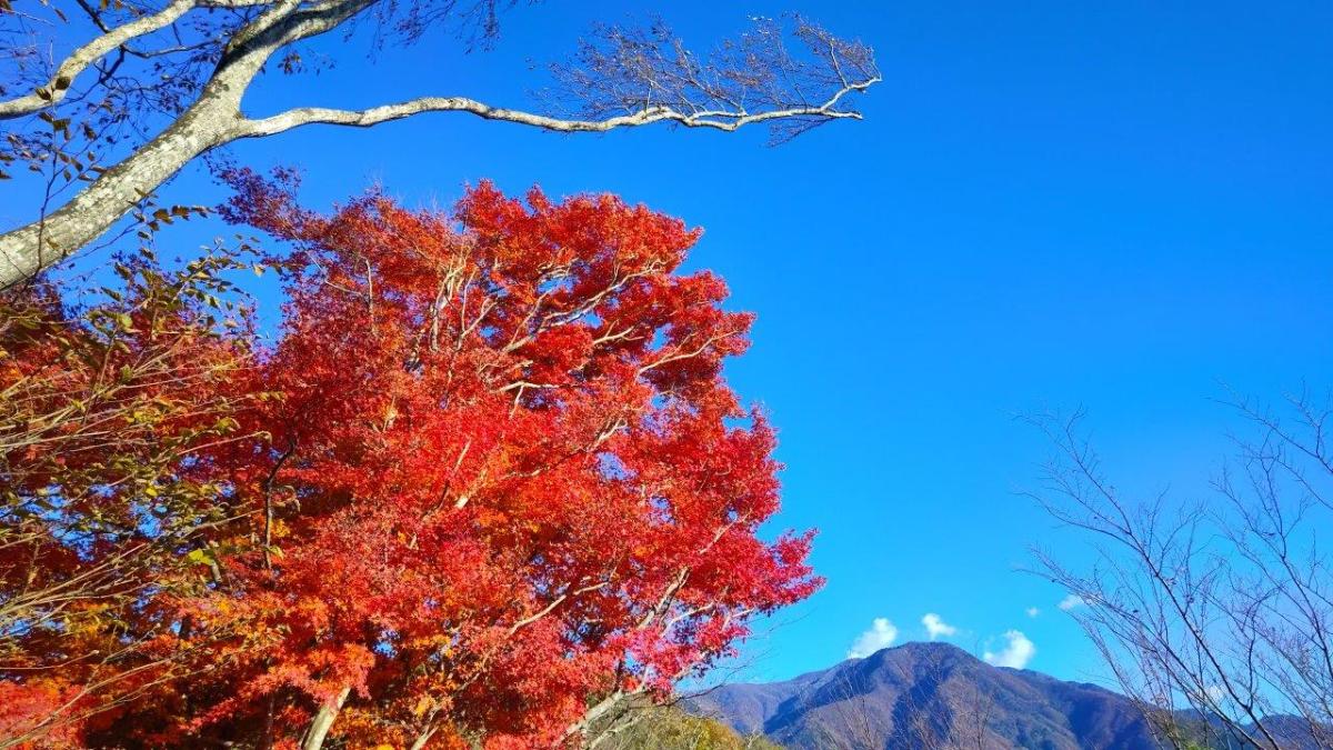Mt Daigo (635m) & Mt Nishi (487m), Minobu Town, Yamanashi Prefecture, Sunday, December 1,&nbsp;2024