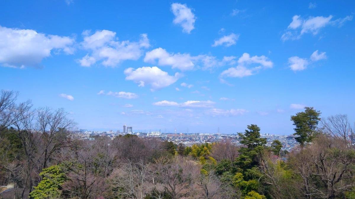 Arahata-Fuji (119m), Tokorozawa, Higashi-Murayama & Higashi-Yamato Cities, Saitama & Tokyo Prefectures, Sunday, March 2 & 9,&nbsp;2025