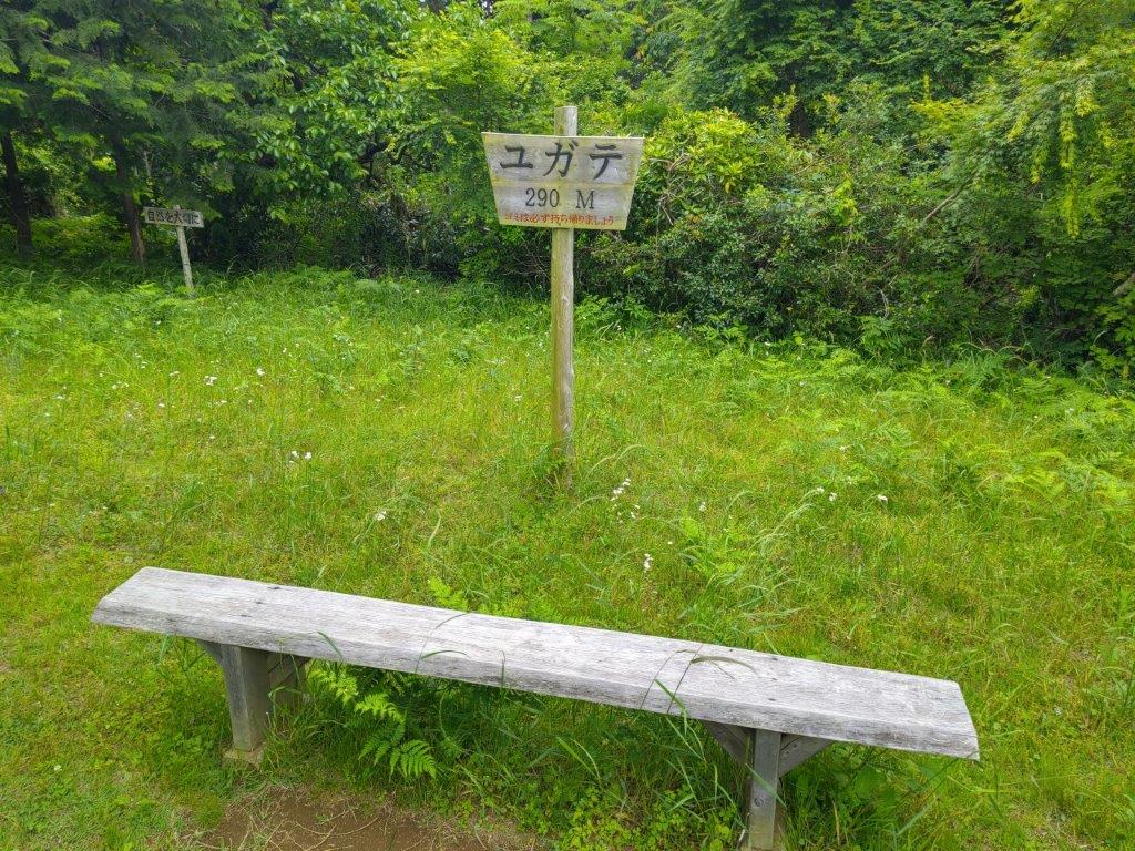 Mt Gojo (305m) & Mt Nagaone (273m), Hanno City, Saitama Prefecture, Saturday, May 24,&nbsp;2025
