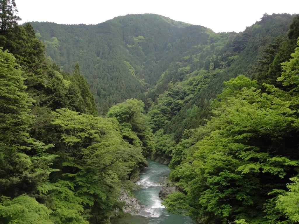 Okutama Old Road (Highest Point 619m), Okutama Town, Tokyo Prefecture, Sunday, October 5,&nbsp;2025